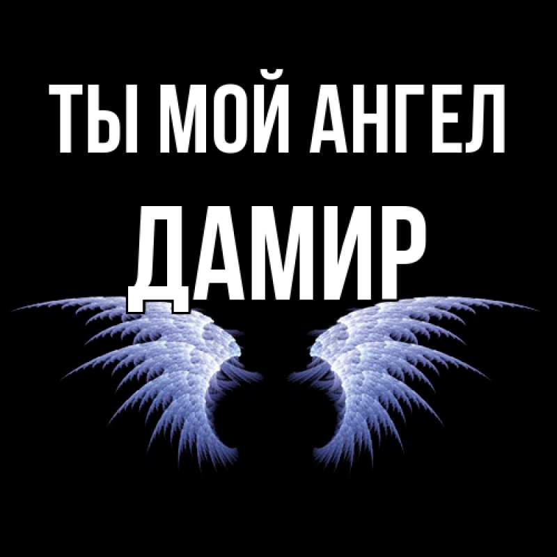 Картинка Ты мой ангел, Дамир