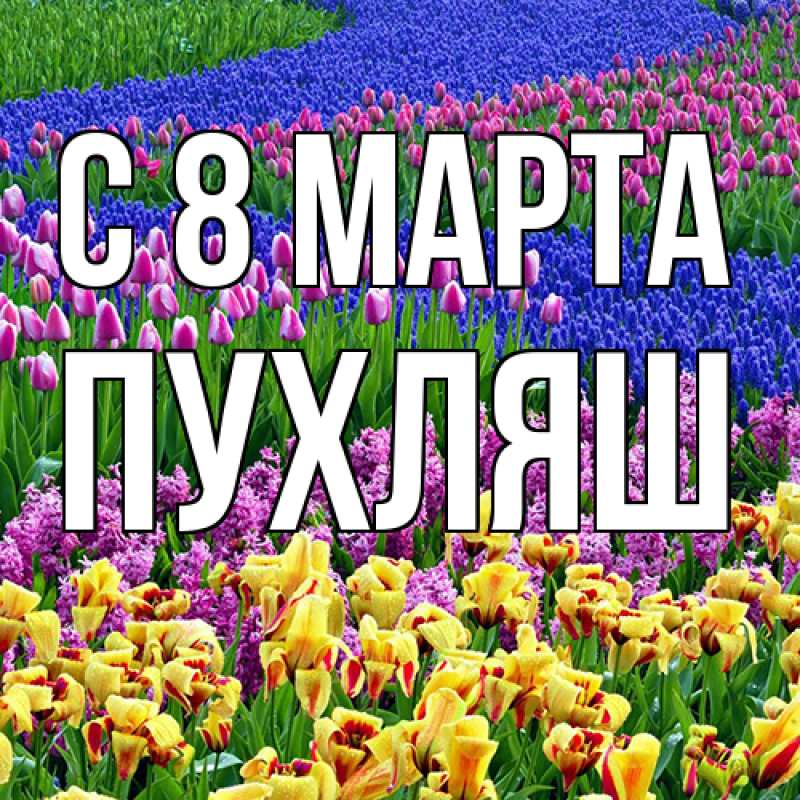 Картинка C 8 МАРТА, пухляш