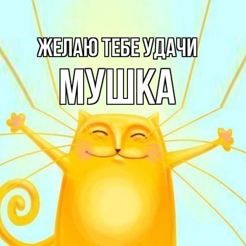 Картинка Желаю тебе удачи, мушка
