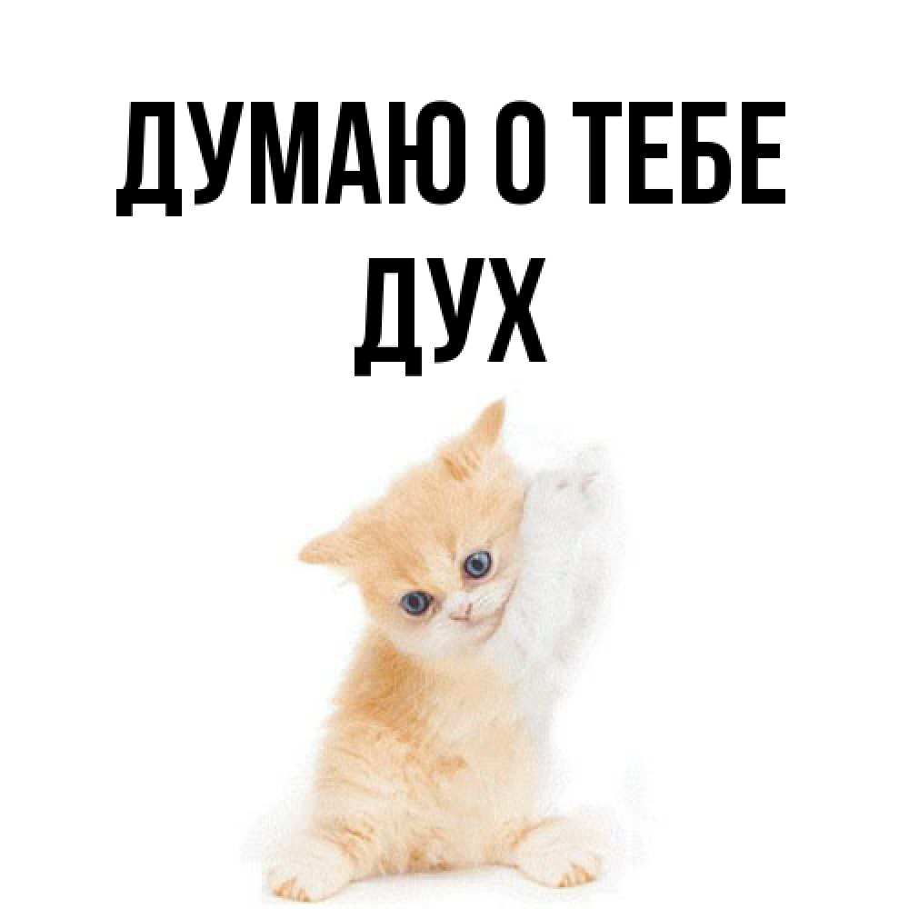Открытка на каждый день с именем, Дух Думаю о тебе зверушки и милота Прикольная открытка с пожеланием онлайн скачать бесплатно 