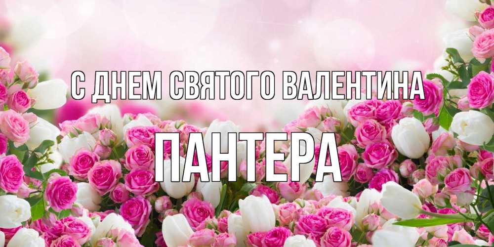 Открытка на каждый день с именем, Пантера С днем Святого Валентина валентинка с именем Прикольная открытка с пожеланием онлайн скачать бесплатно 