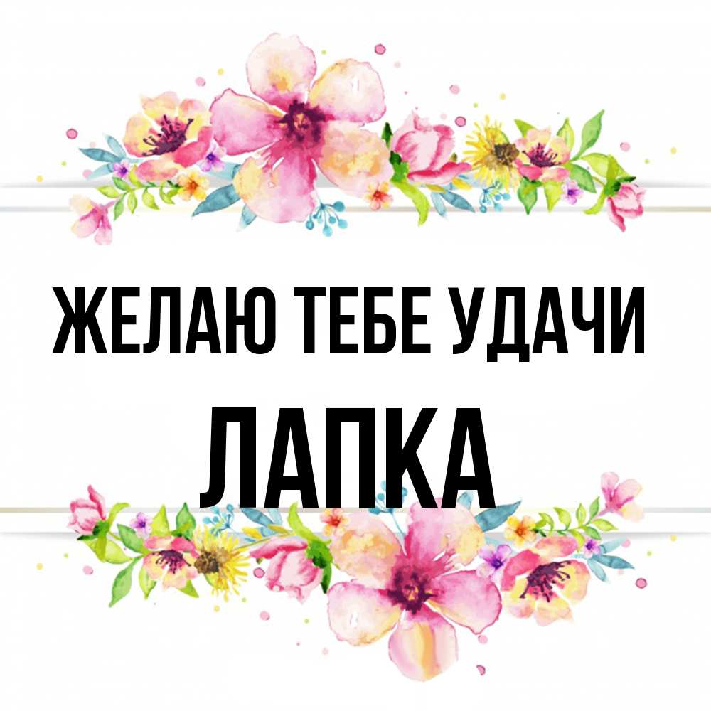 Открытка на каждый день с именем, лапка Желаю тебе удачи пусть повезет 1 Прикольная открытка с пожеланием онлайн скачать бесплатно 