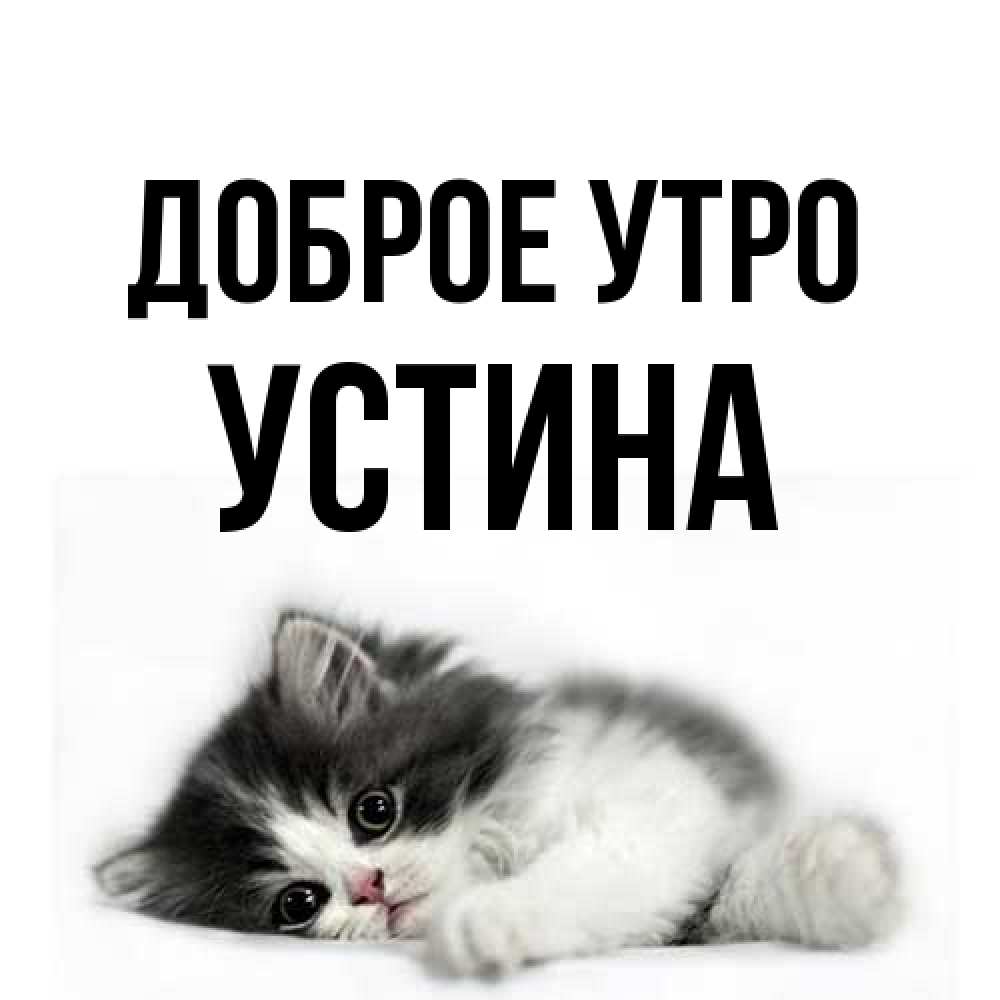 Открытка на каждый день с именем, Устина Доброе утро кот лапки Прикольная открытка с пожеланием онлайн скачать бесплатно 