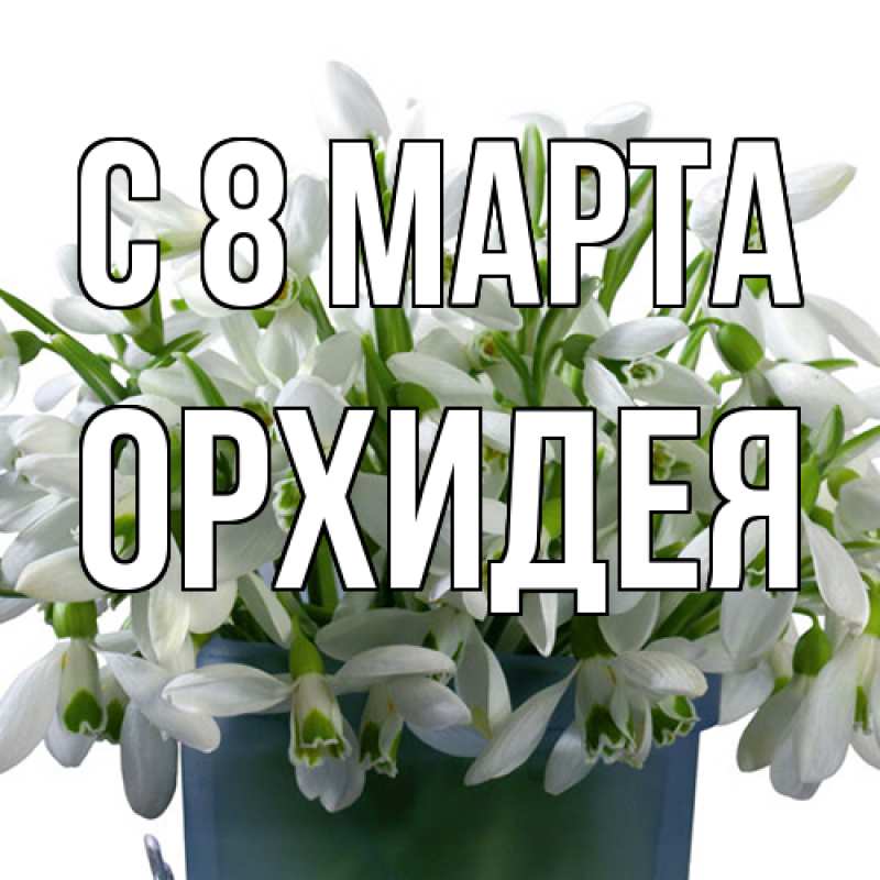 Картинка C 8 МАРТА, Орхидея