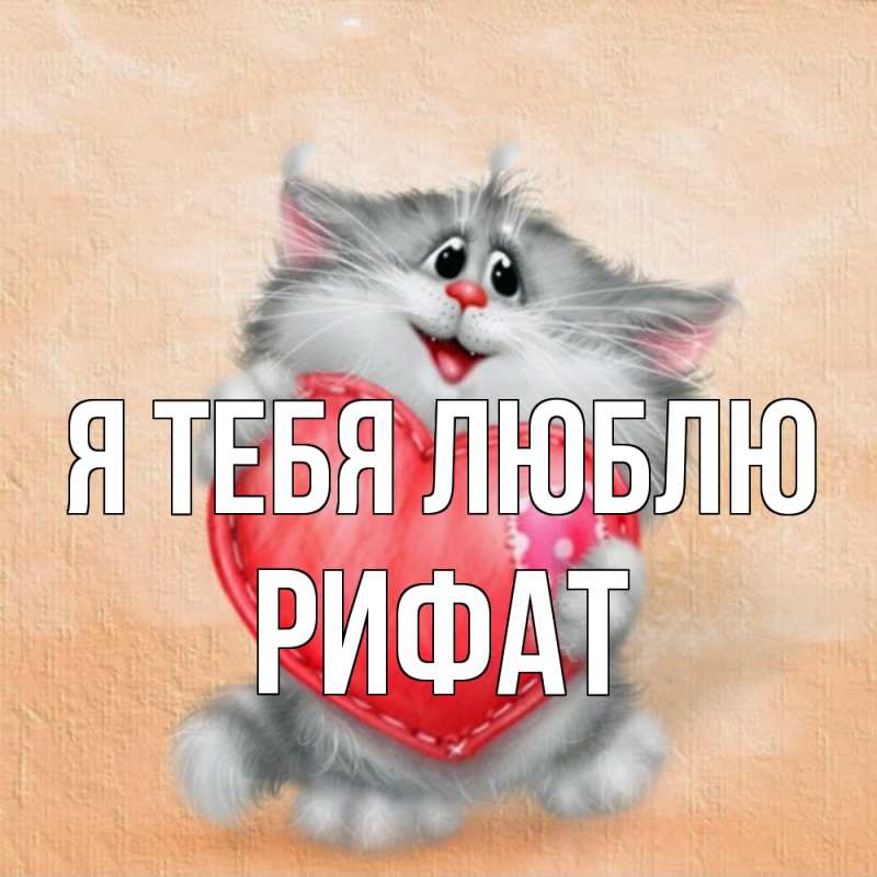 Картинка Я тебя люблю, Рифат