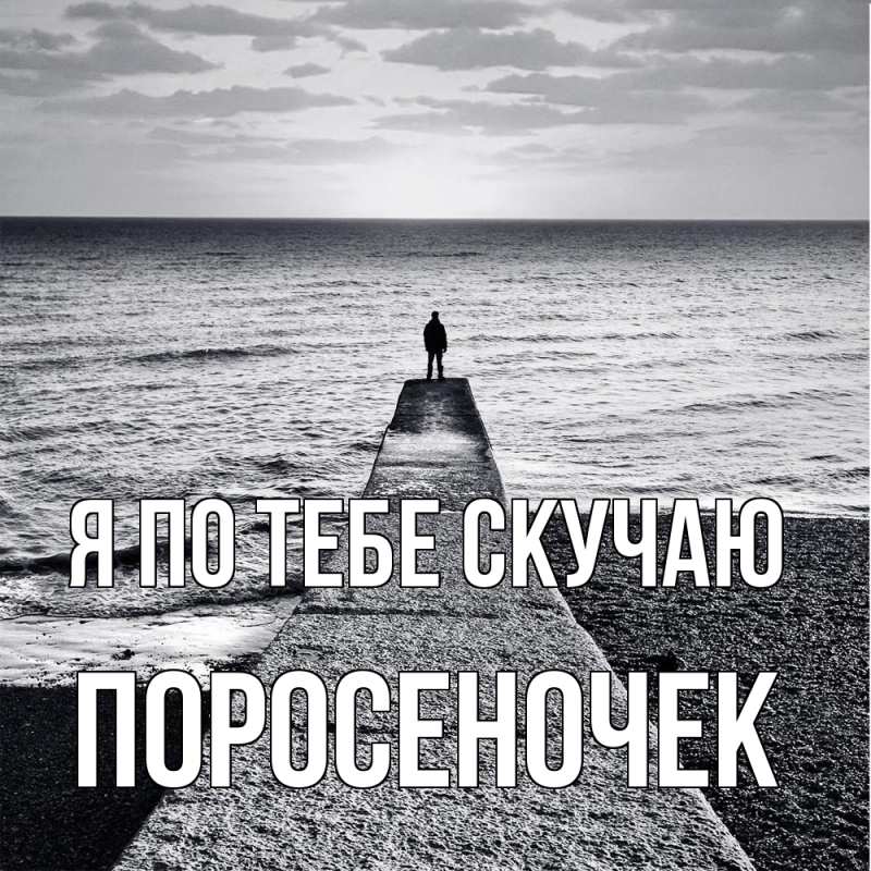 Картинка Я по тебе скучаю, поросеночек