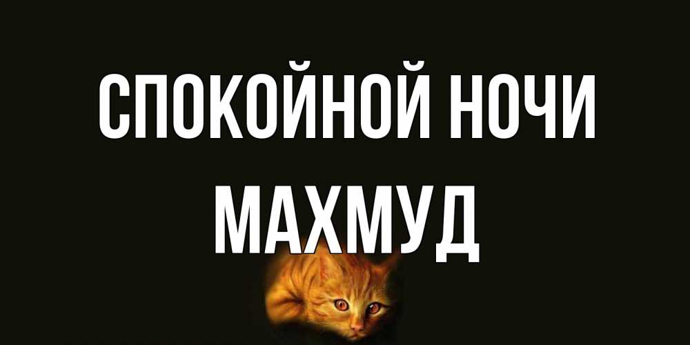 Открытка на каждый день с именем, Махмуд Спокойной ночи кот Прикольная открытка с пожеланием онлайн скачать бесплатно 