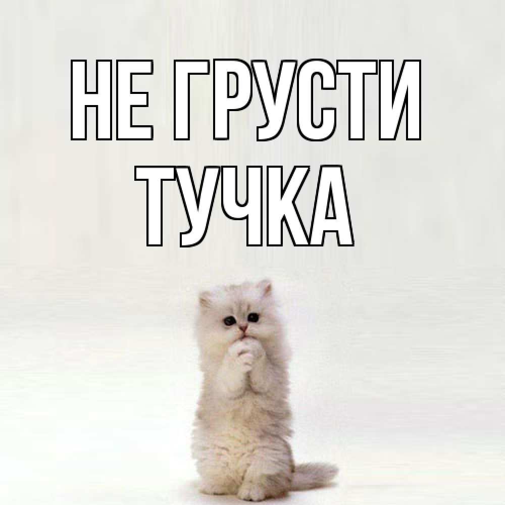 Открытка на каждый день с именем, Тучка Не грусти грустный кот Прикольная открытка с пожеланием онлайн скачать бесплатно 