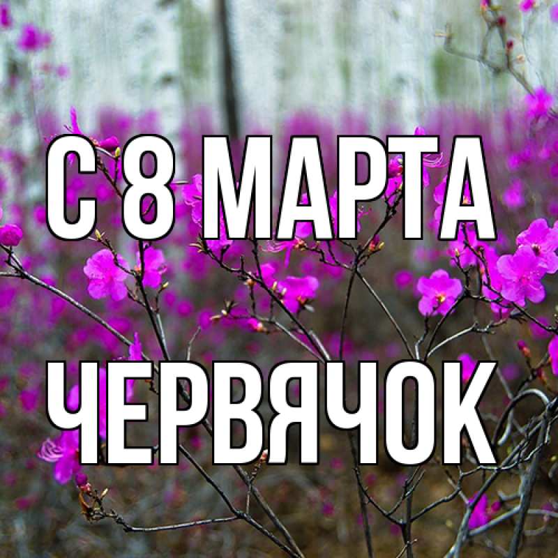 Картинка C 8 МАРТА, Червячок