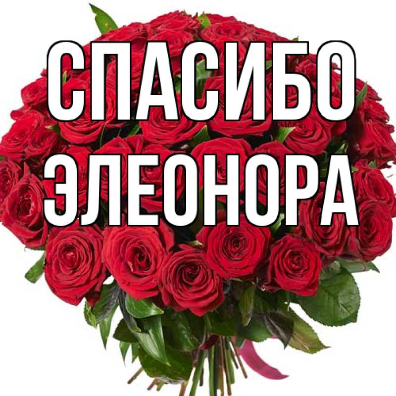 Картинка Спасибо, Элеонора