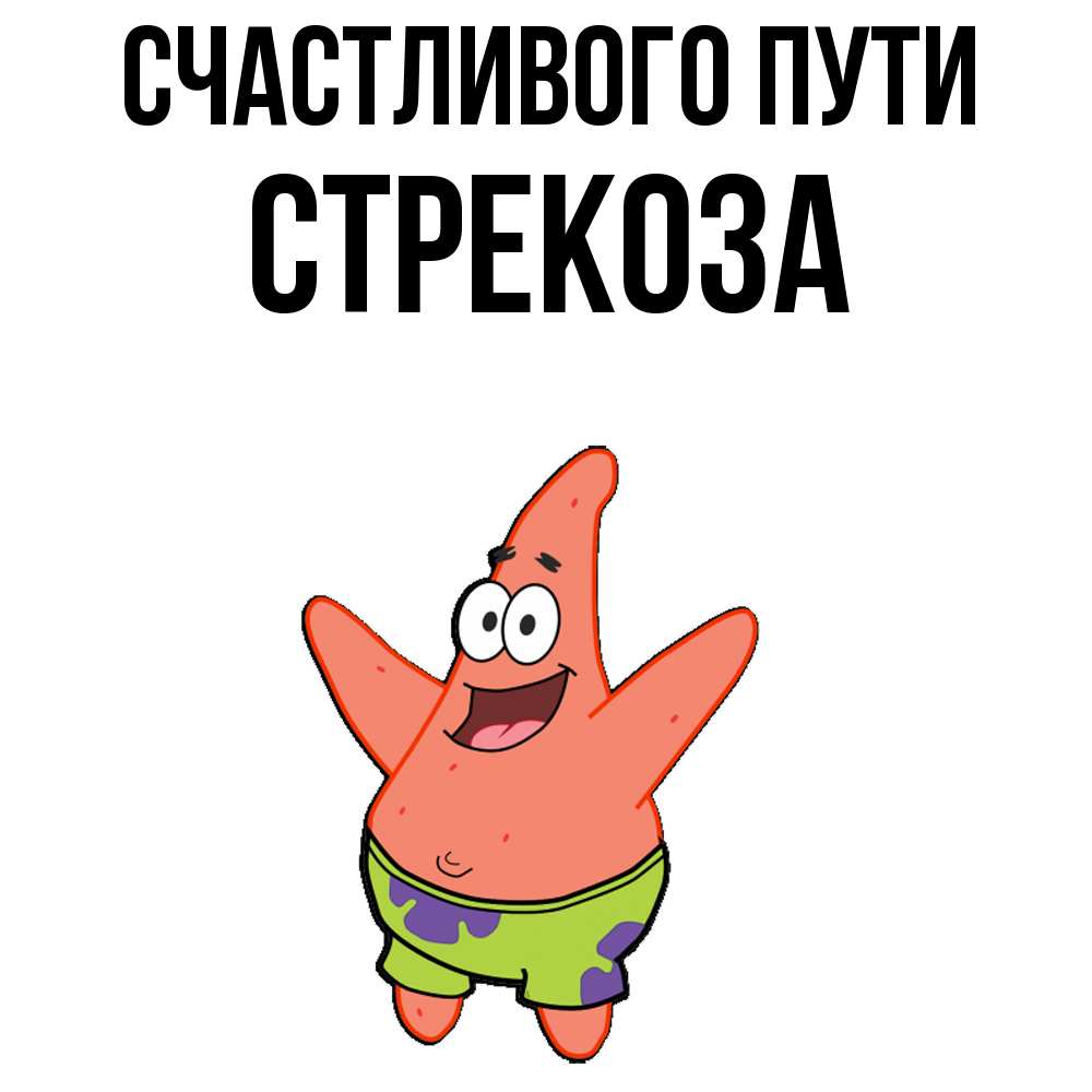 Открытка на каждый день с именем, Стрекоза Счастливого пути желает тебе хорошей дороги Прикольная открытка с пожеланием онлайн скачать бесплатно 