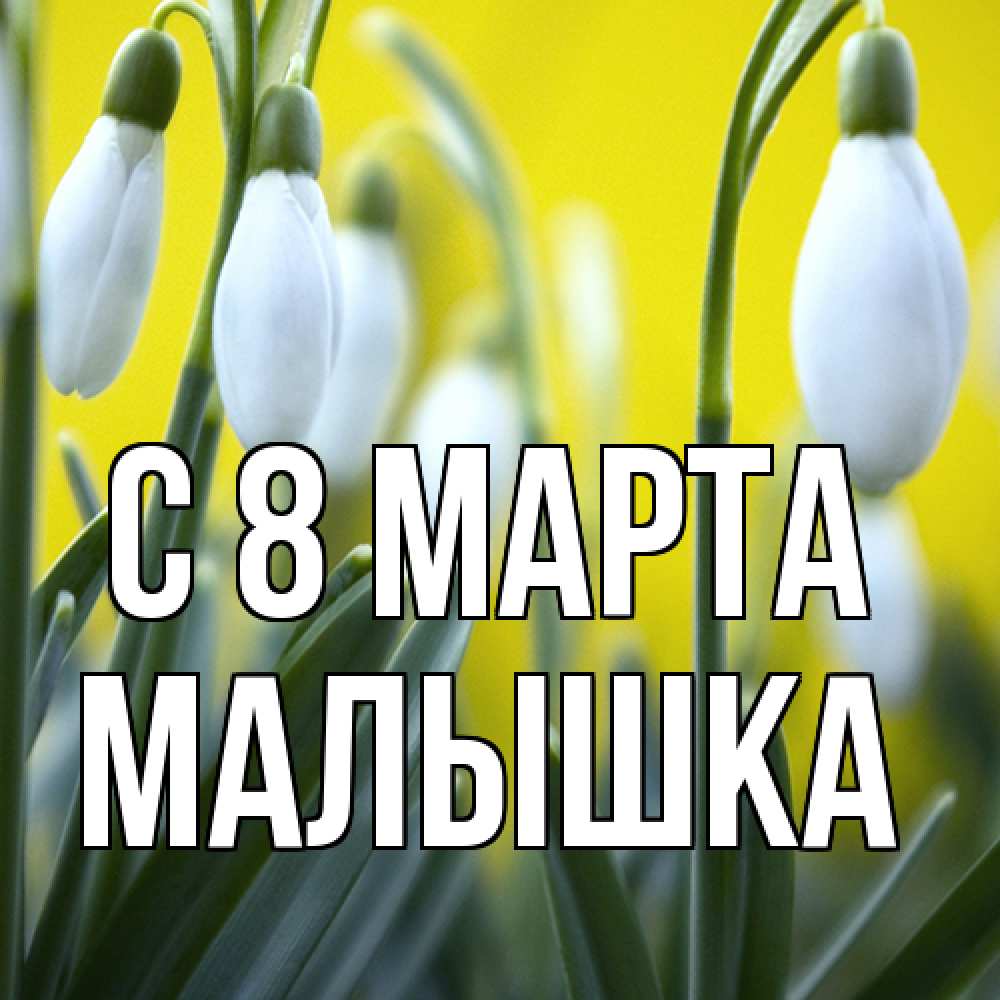 Открытка на каждый день с именем, малышка C 8 МАРТА весенние цветы Прикольная открытка с пожеланием онлайн скачать бесплатно 