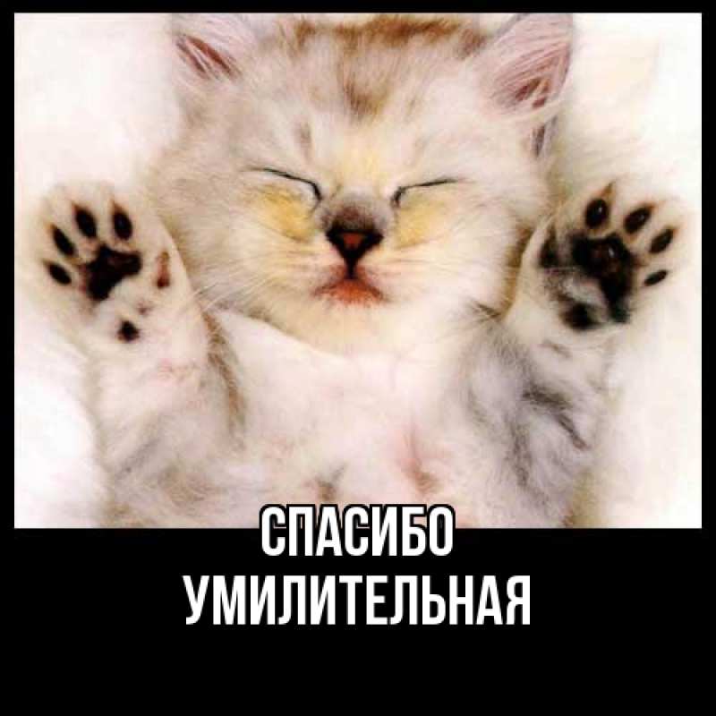 Картинка Спасибо, умилительная