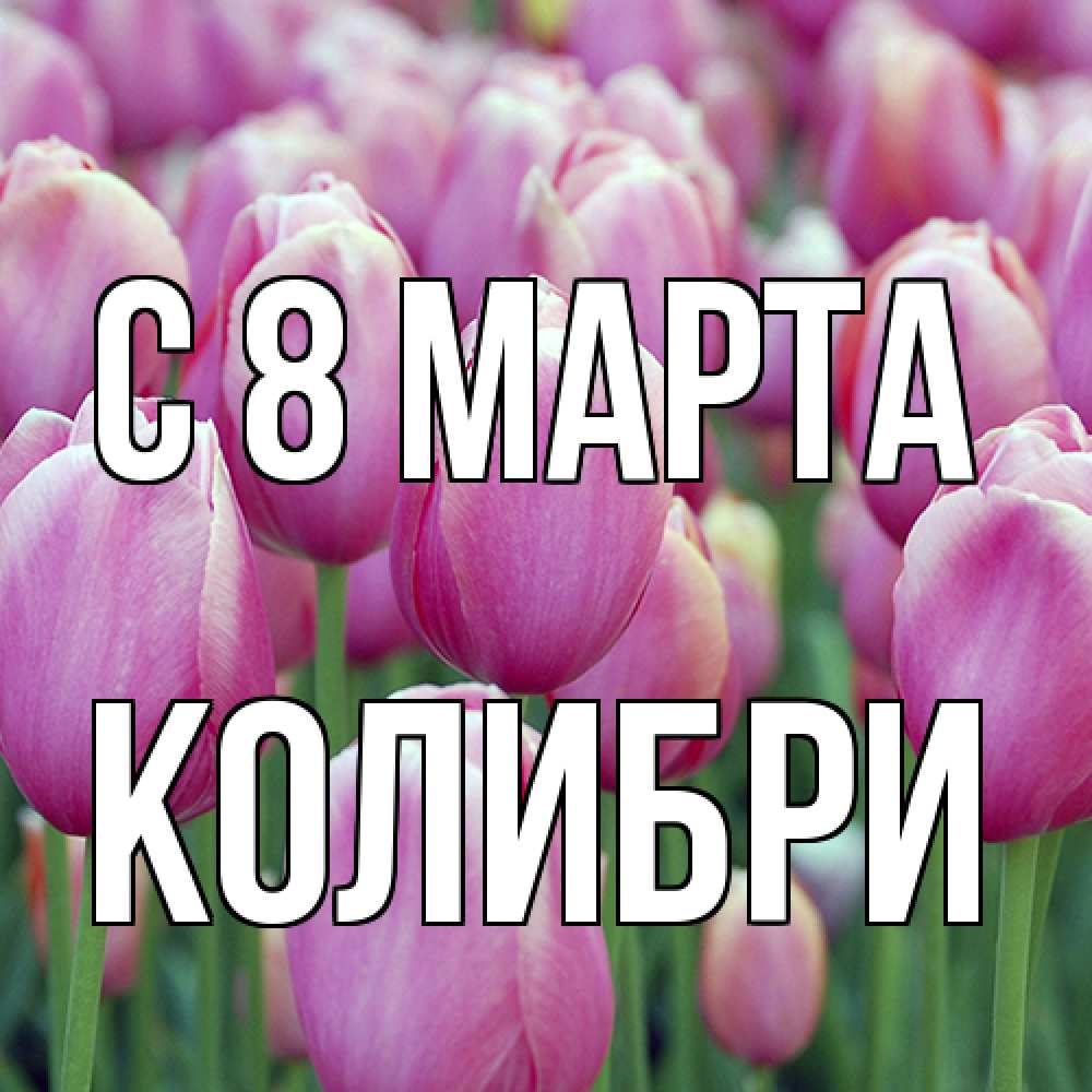 Открытка на каждый день с именем, Колибри C 8 МАРТА на международный женский день 3 Прикольная открытка с пожеланием онлайн скачать бесплатно 