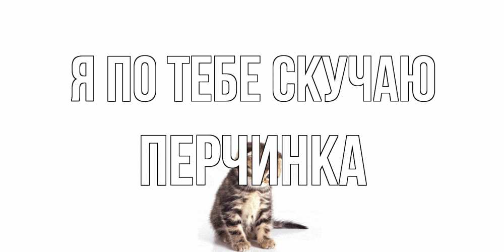 Открытка на каждый день с именем, Перчинка Я по тебе скучаю кот Прикольная открытка с пожеланием онлайн скачать бесплатно 