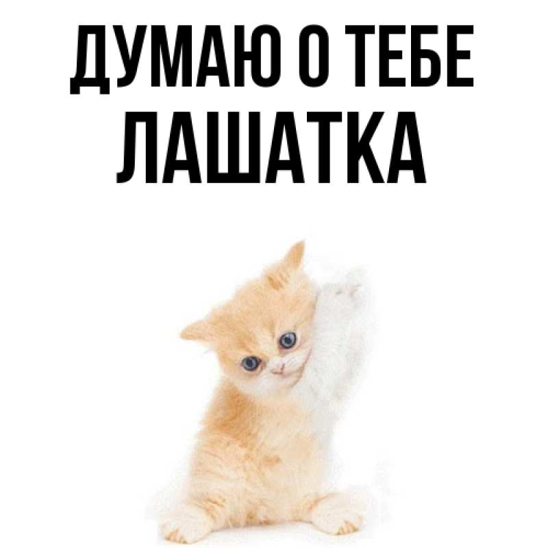 Картинка Думаю о тебе, Лашатка