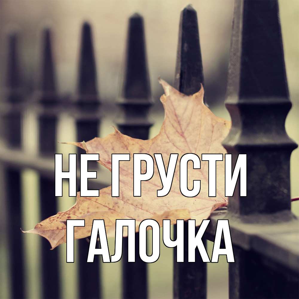 Открытка на каждый день с именем, Галочка Не грусти лист клена Прикольная открытка с пожеланием онлайн скачать бесплатно 
