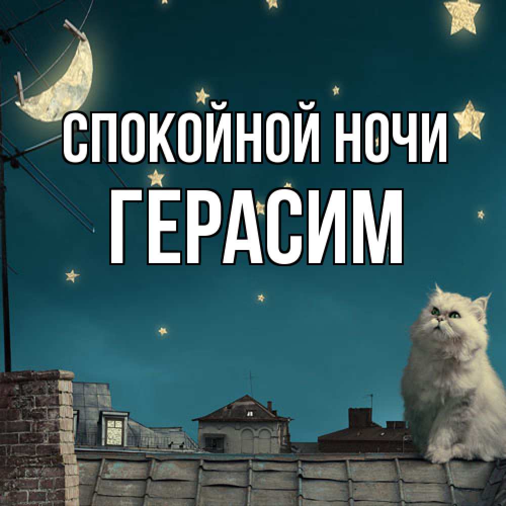 Открытка на каждый день с именем, Герасим Спокойной ночи белый кот сидит на крыше Прикольная открытка с пожеланием онлайн скачать бесплатно 