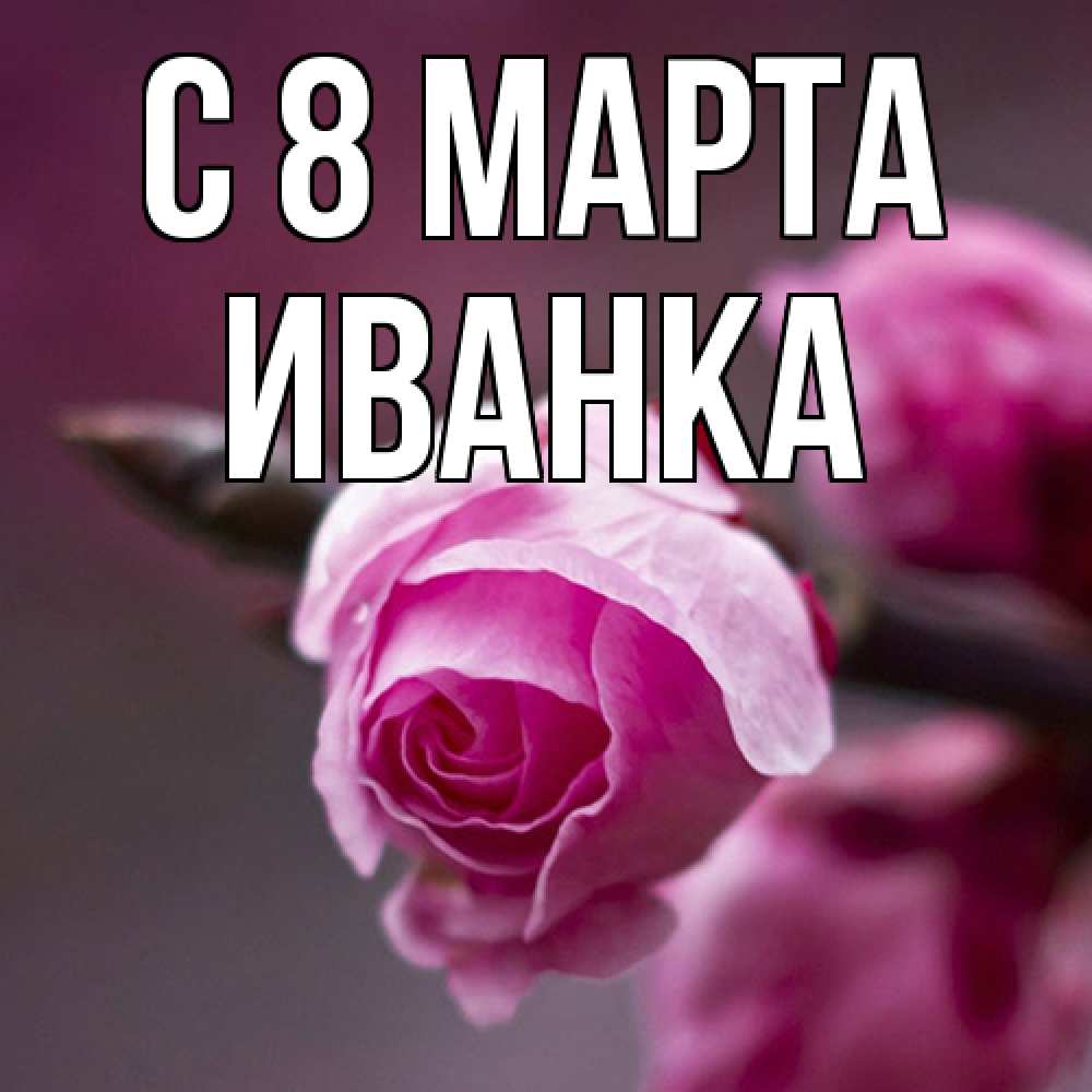 Открытка на каждый день с именем, Иванка C 8 МАРТА весна Прикольная открытка с пожеланием онлайн скачать бесплатно 