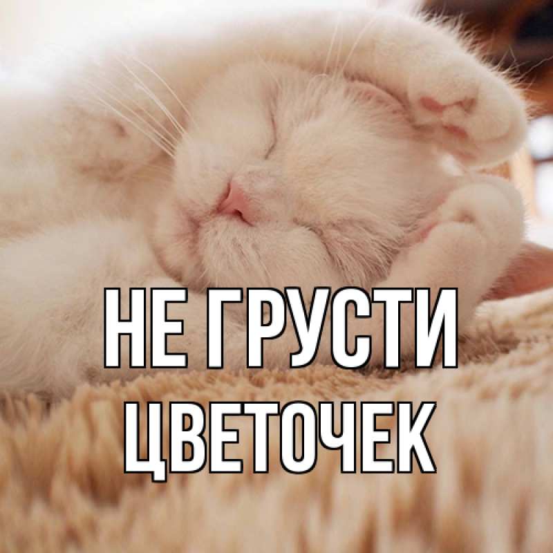 Картинка Не грусти, Цветочек