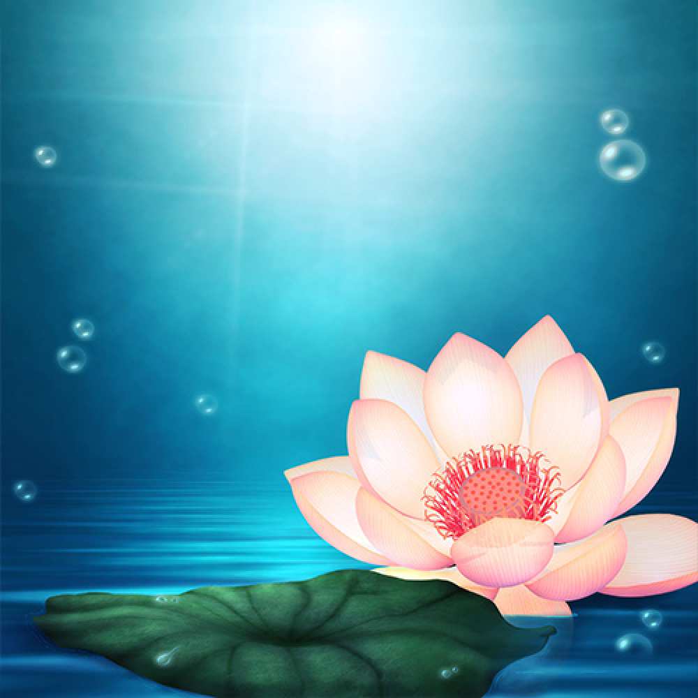 Открытка на каждый день с именем, Любимая С днем ангела кувшинка Прикольная открытка с пожеланием онлайн скачать бесплатно 