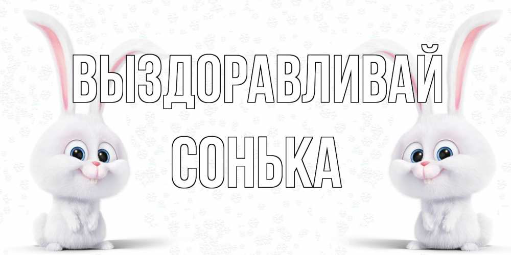 Открытка на каждый день с именем, Сонька Выздоравливай не болей с зайцем Прикольная открытка с пожеланием онлайн скачать бесплатно 