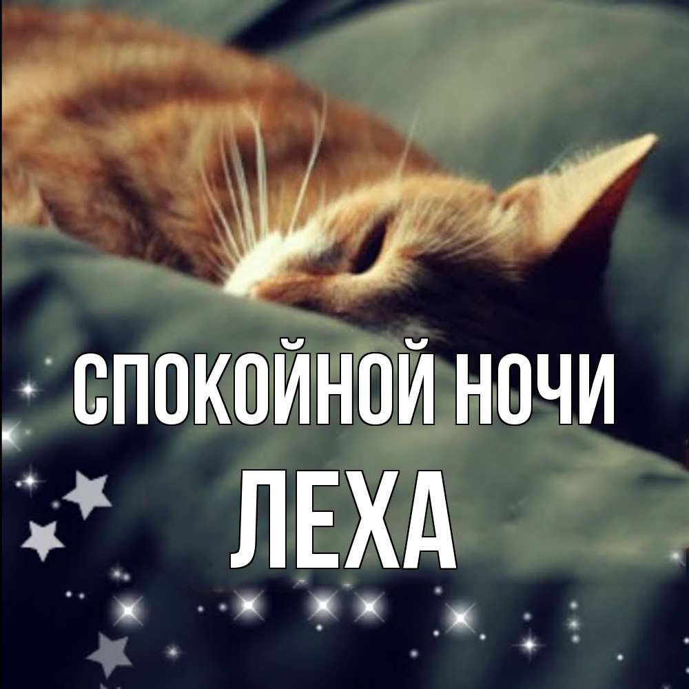 Открытка на каждый день с именем, леха Спокойной ночи кроватка Прикольная открытка с пожеланием онлайн скачать бесплатно 