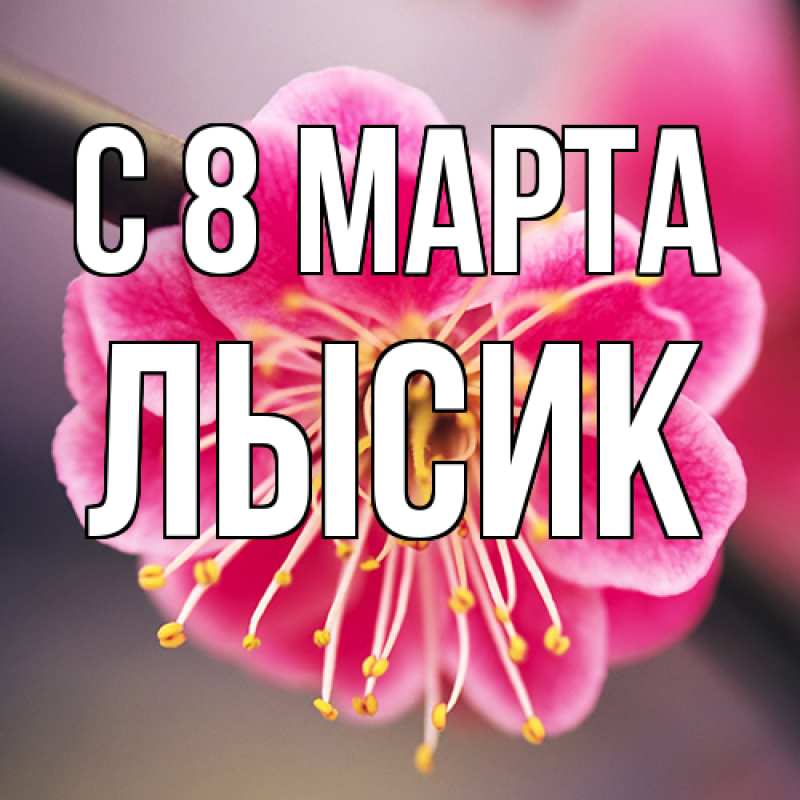 Картинка C 8 МАРТА, Лысик