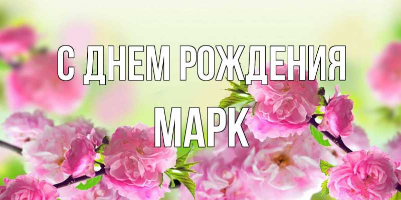 Картинка С днем рождения, Марк