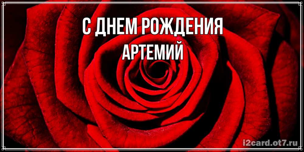 Открытка на каждый день с именем, Артемий С днем рождения алая роза Прикольная открытка с пожеланием онлайн скачать бесплатно 