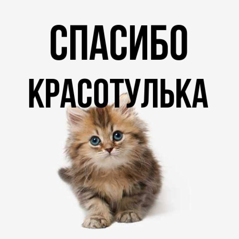 Картинка Спасибо, красотулька
