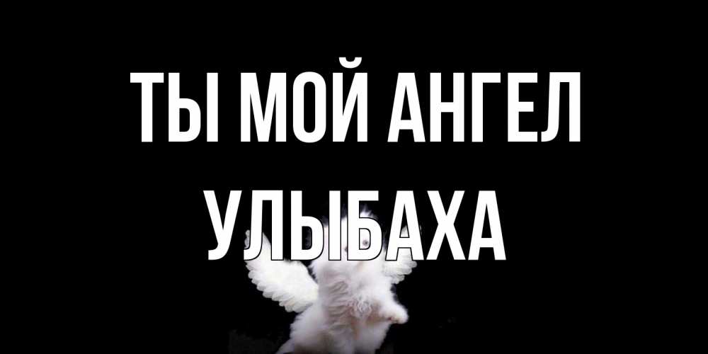 Открытка на каждый день с именем, Улыбаха Ты мой ангел Кот ангел Прикольная открытка с пожеланием онлайн скачать бесплатно 