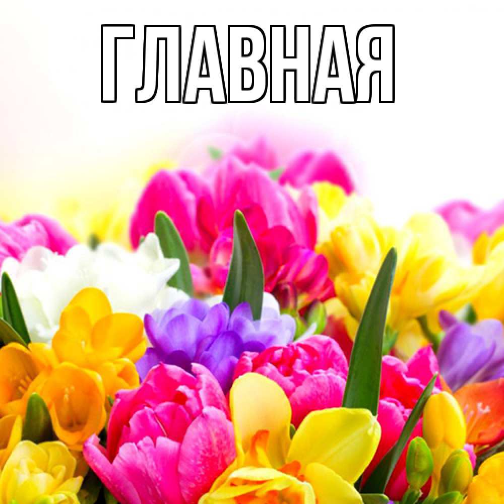 Открытка на каждый день с именем, настя Главная тюльпаны Прикольная открытка с пожеланием онлайн скачать бесплатно 