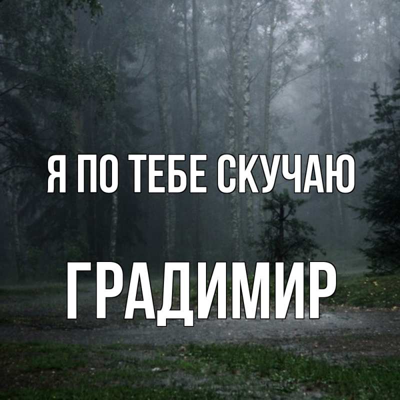 Картинка Я по тебе скучаю, Градимир