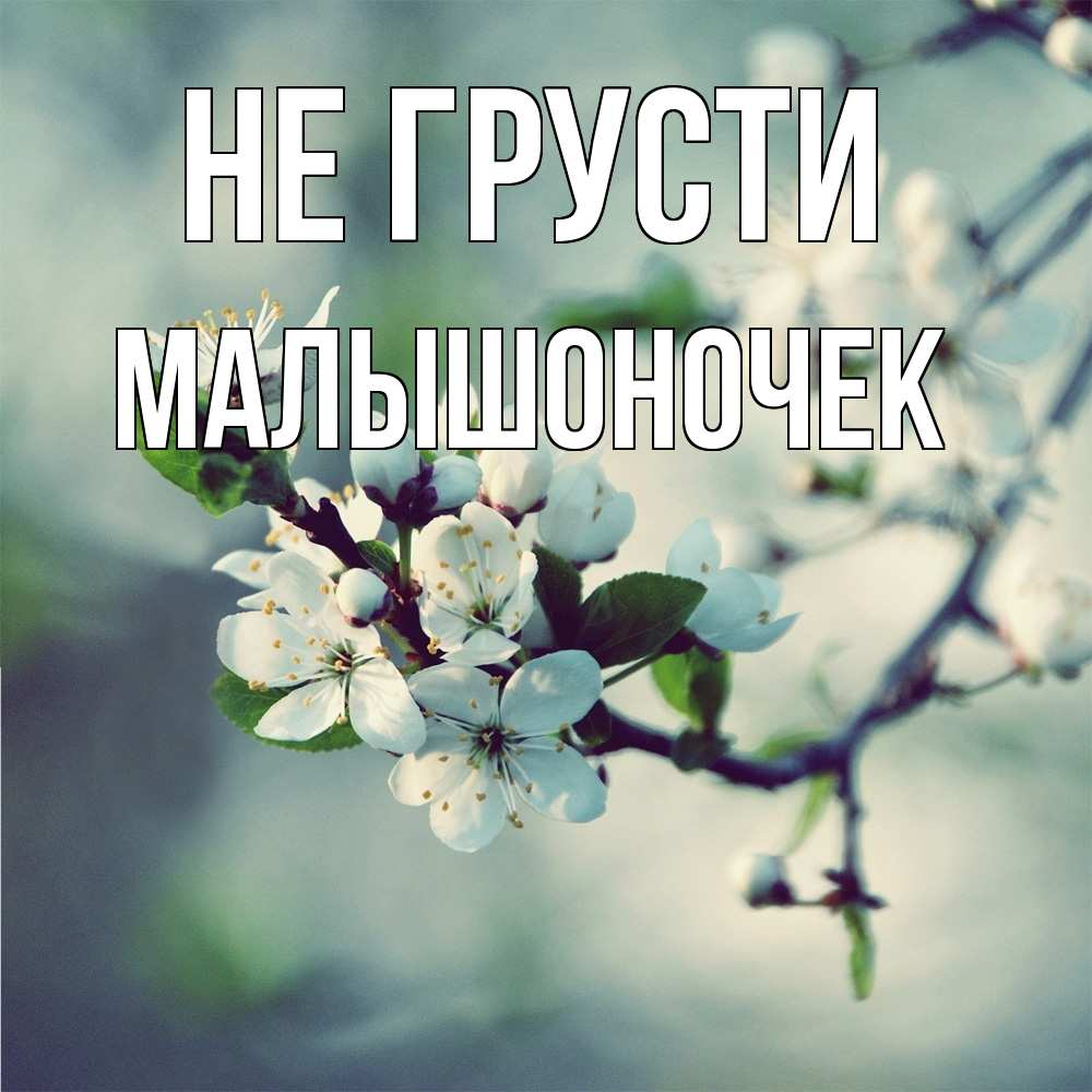 Открытка на каждый день с именем, Малышоночек Не грусти яблоня в цвету 1 Прикольная открытка с пожеланием онлайн скачать бесплатно 