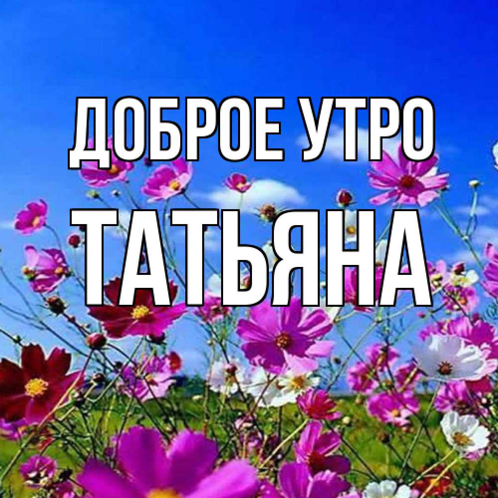 Открытка на каждый день с именем, Татьяна Доброе утро сиреневые цветы Прикольная открытка с пожеланием онлайн скачать бесплатно 