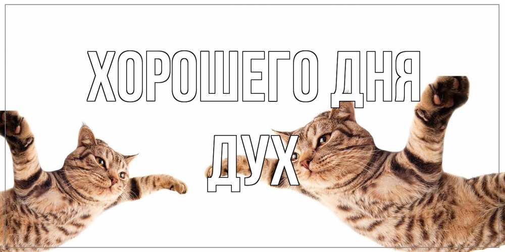 Открытка на каждый день с именем, Дух Хорошего дня хорошего дня Прикольная открытка с пожеланием онлайн скачать бесплатно 