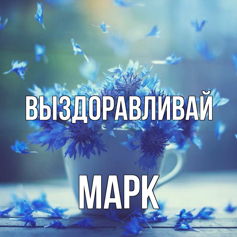 Открытка на каждый день с именем, Марк Выздоравливай кружка с зельем и цветами Прикольная открытка с пожеланием онлайн скачать бесплатно 