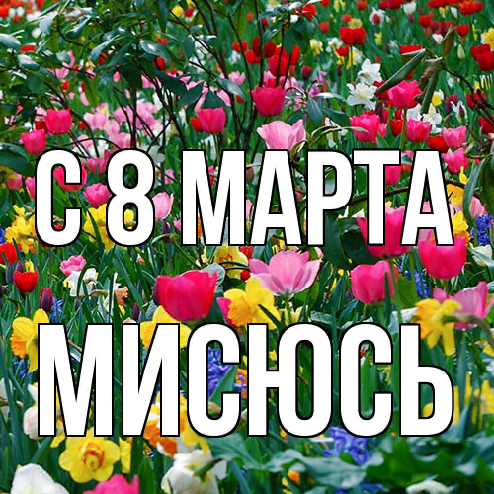 Открытка на каждый день с именем, мисюсь C 8 МАРТА с международным женским днем поздравления для женщины Прикольная открытка с пожеланием онлайн скачать бесплатно 