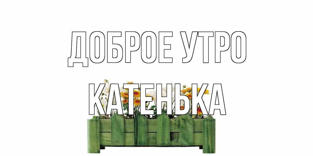 Открытка на каждый день с именем, Катенька Доброе утро цветы Прикольная открытка с пожеланием онлайн скачать бесплатно 