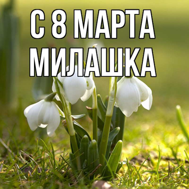 Картинка C 8 МАРТА, Милашка