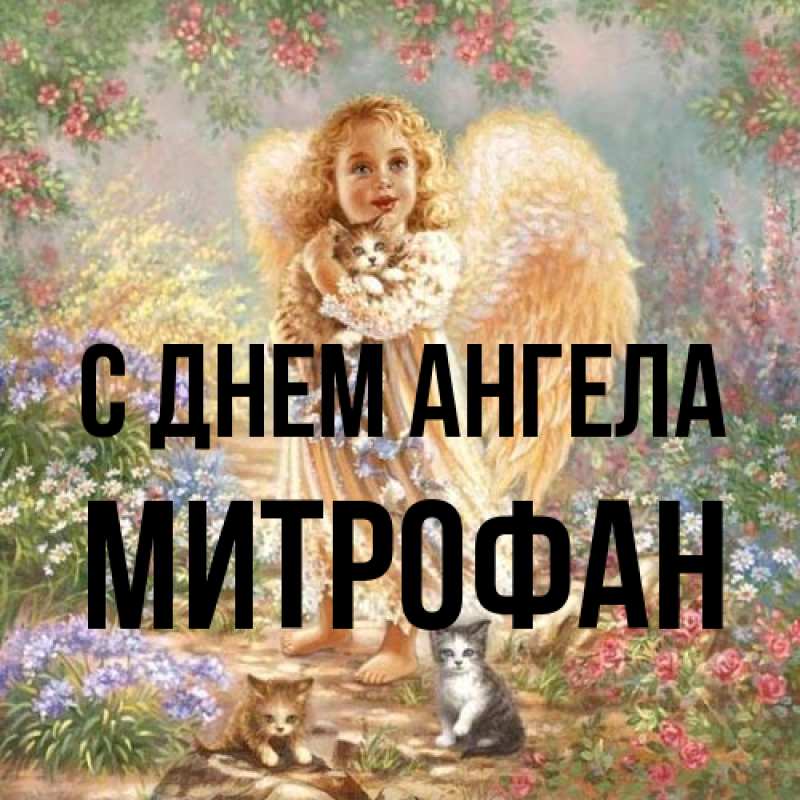 Картинка С днем ангела, Митрофан