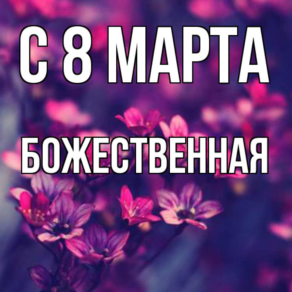 Открытка на каждый день с именем, божественная C 8 МАРТА небольшие цветы 1 Прикольная открытка с пожеланием онлайн скачать бесплатно 