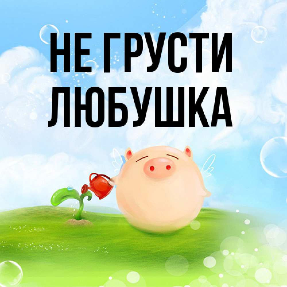 Открытка на каждый день с именем, Любушка Не грусти поливает цветок порося Прикольная открытка с пожеланием онлайн скачать бесплатно 