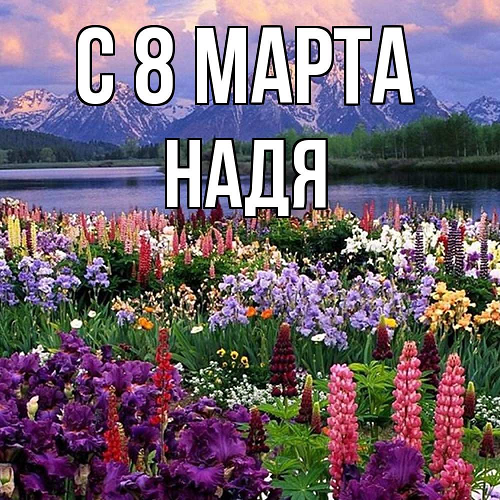 Открытка на каждый день с именем, Надя C 8 МАРТА международный женский день Прикольная открытка с пожеланием онлайн скачать бесплатно 