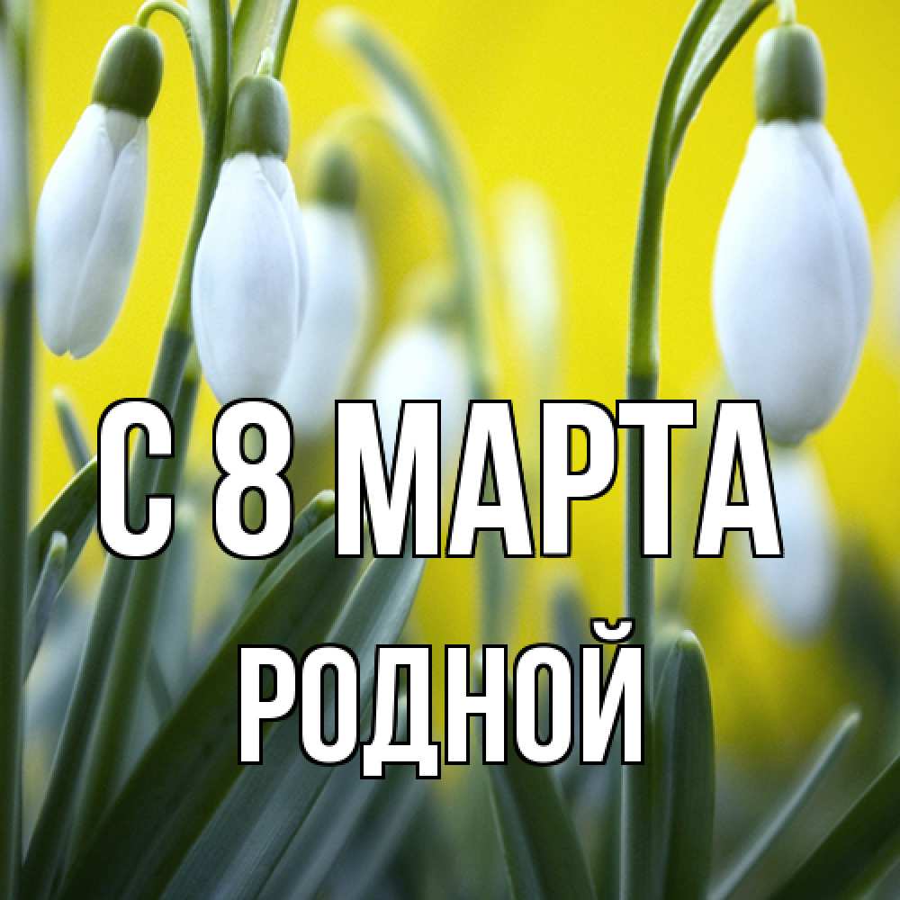 Открытка на каждый день с именем, Родной C 8 МАРТА весенние цветы Прикольная открытка с пожеланием онлайн скачать бесплатно 