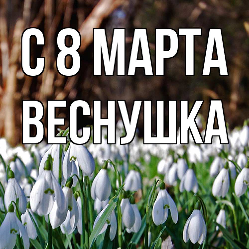 Открытка на каждый день с именем, веснушка C 8 МАРТА с подснежниками 1 Прикольная открытка с пожеланием онлайн скачать бесплатно 