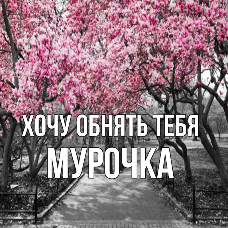 Картинка Хочу обнять тебя, Мурочка