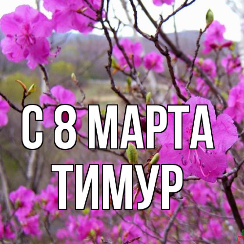 Картинка C 8 МАРТА, Тимур