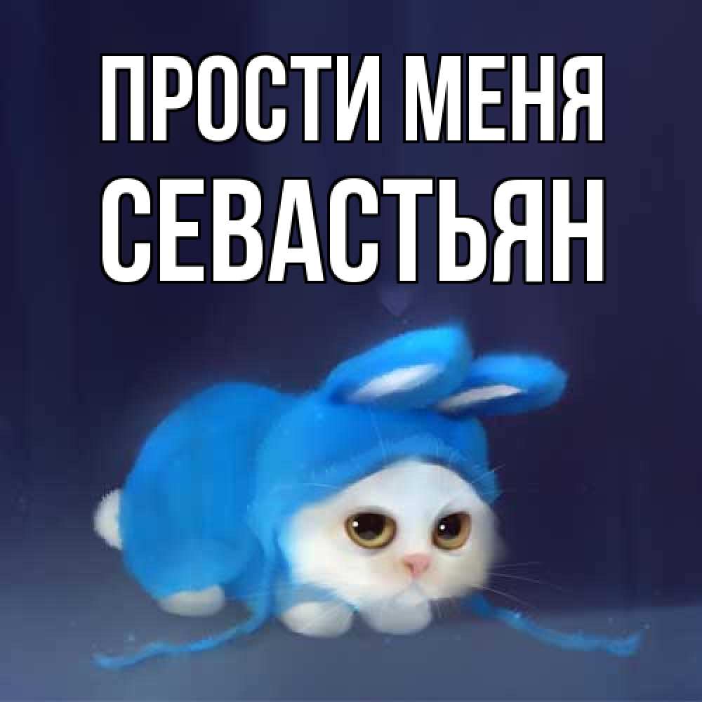 Открытка на каждый день с именем, Севастьян Прости меня невинный котозай просит прощения Прикольная открытка с пожеланием онлайн скачать бесплатно 